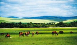 呼伦贝尔最新爆料,神秘遗迹揭秘，古老文明重现光彩